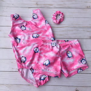 Ready to Ship 3T/4T Gymnastics Leotard Sets A